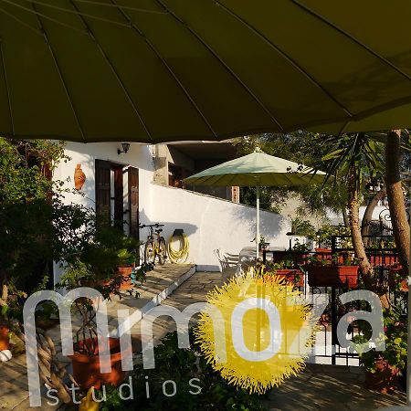 Mimoza Studios Skiathos by Eksteriør billede
