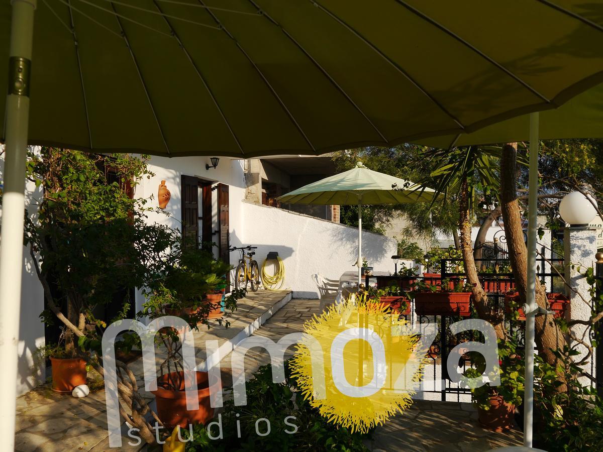 Mimoza Studios Skiathos by Eksteriør billede
