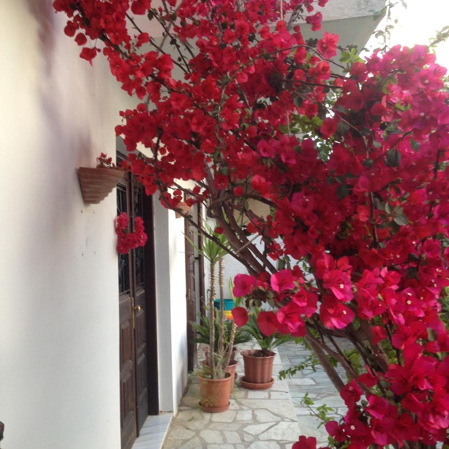 Mimoza Studios Skiathos by Eksteriør billede